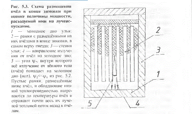 Основа Пчеловодства