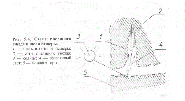 Основа Пчеловодства