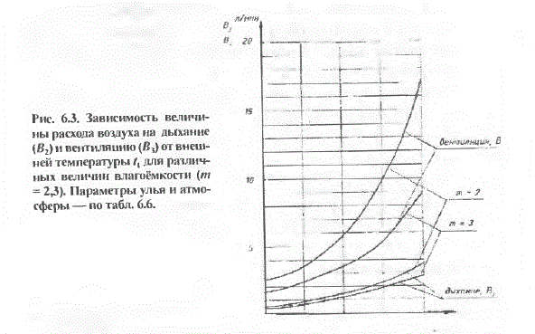 Основа Пчеловодства